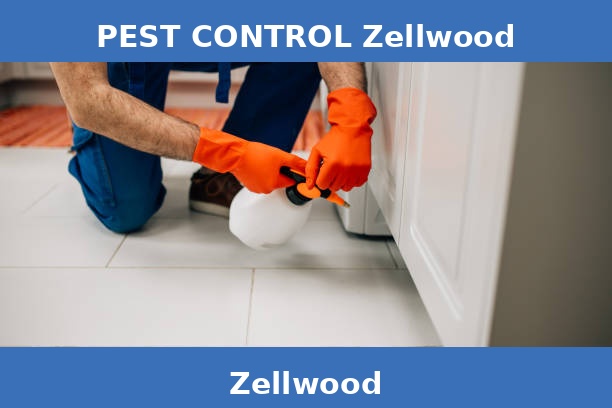 PEST CONTROL Zellwood